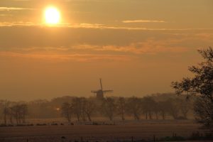 landschap en dieren (1)