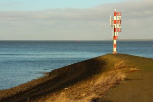 landschap en dieren (8)